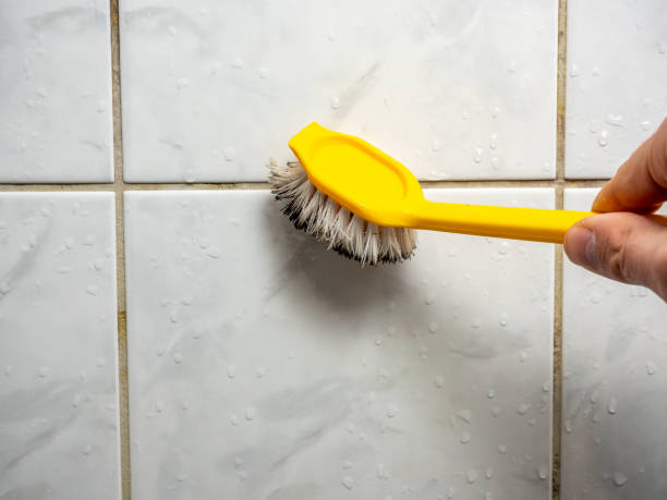 Best Same-Day Mold Removal  in Bagdad, FL