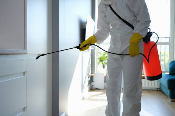 Best Certified Mold Removal  in Bagdad, FL