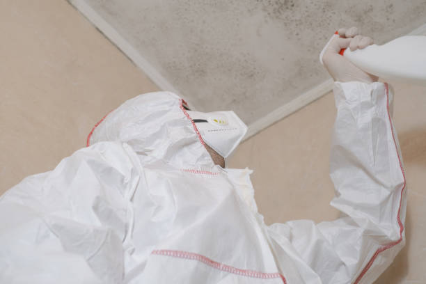 Best Emergency Mold Removal  in Bagdad, FL